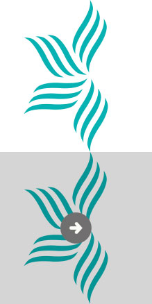 trabajo de diseño realizado