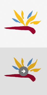 trabajo de diseño realizado